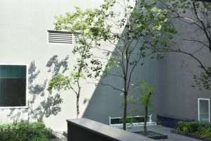 Proiectele finanţate cu până la 500.000 lei prin Platforma de mediu pentru Bucureşti